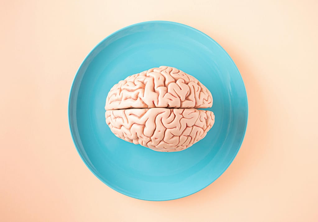 relación-cerebro-intestino Maqueta de un cerebro humano colocado sobre un plato azul, representando la relación entre el eje intestino cerebro y la nutrición.